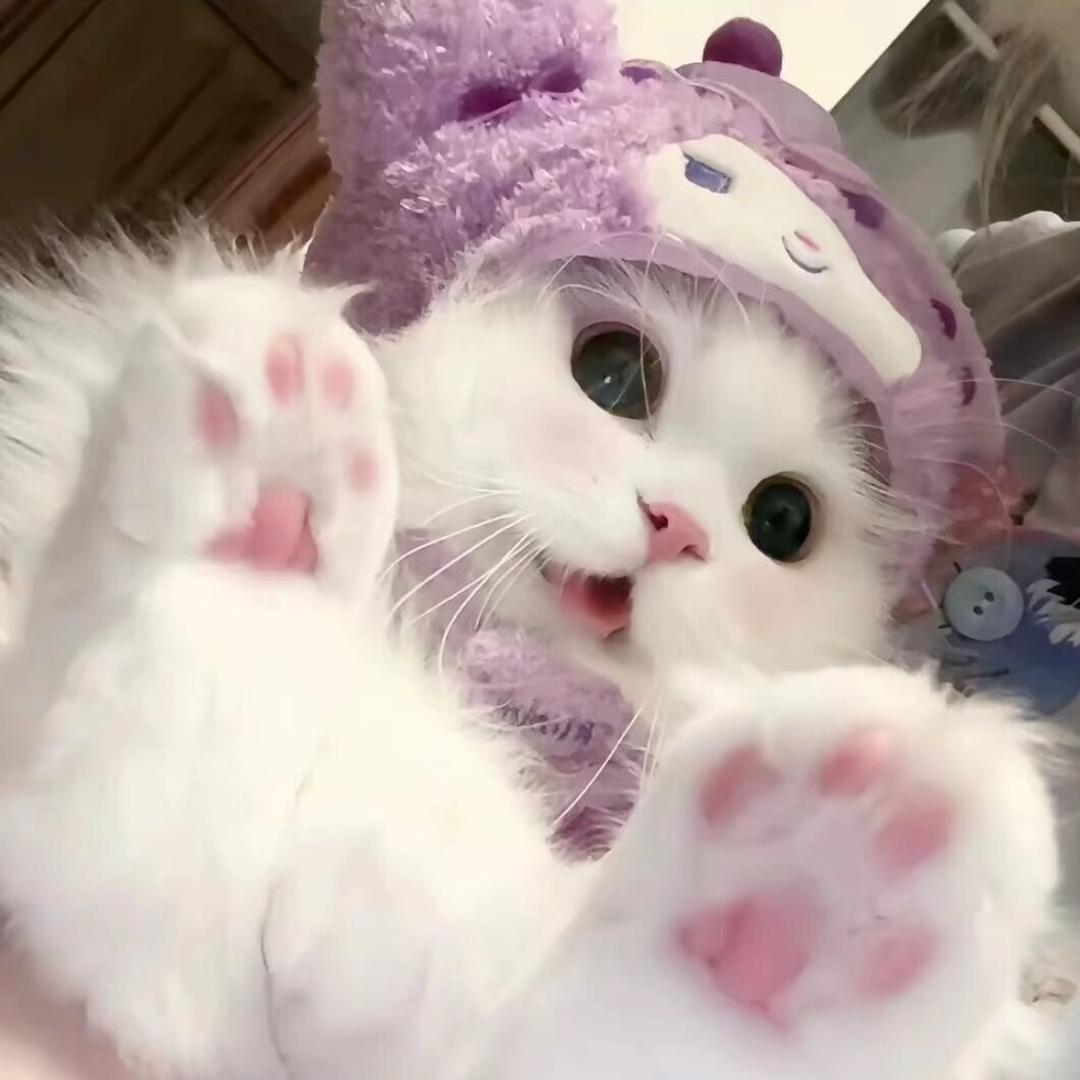 妍