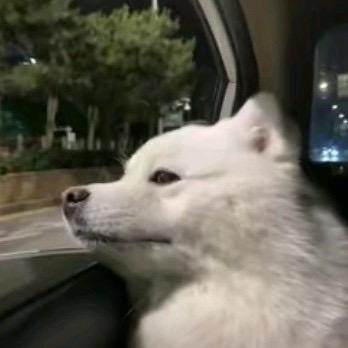 李李我