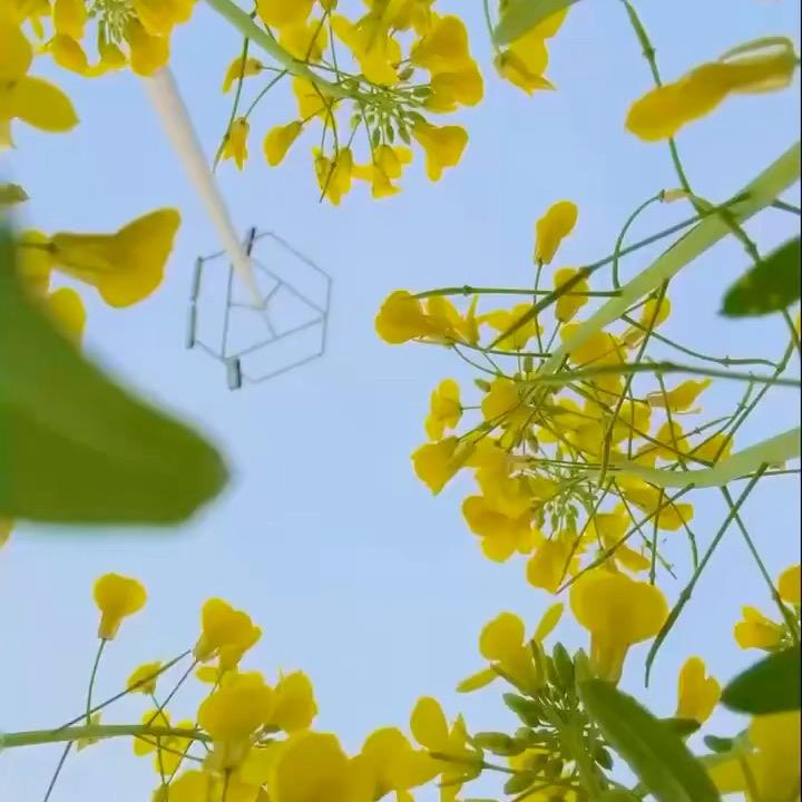 角里香饭店～胖丫烧烤