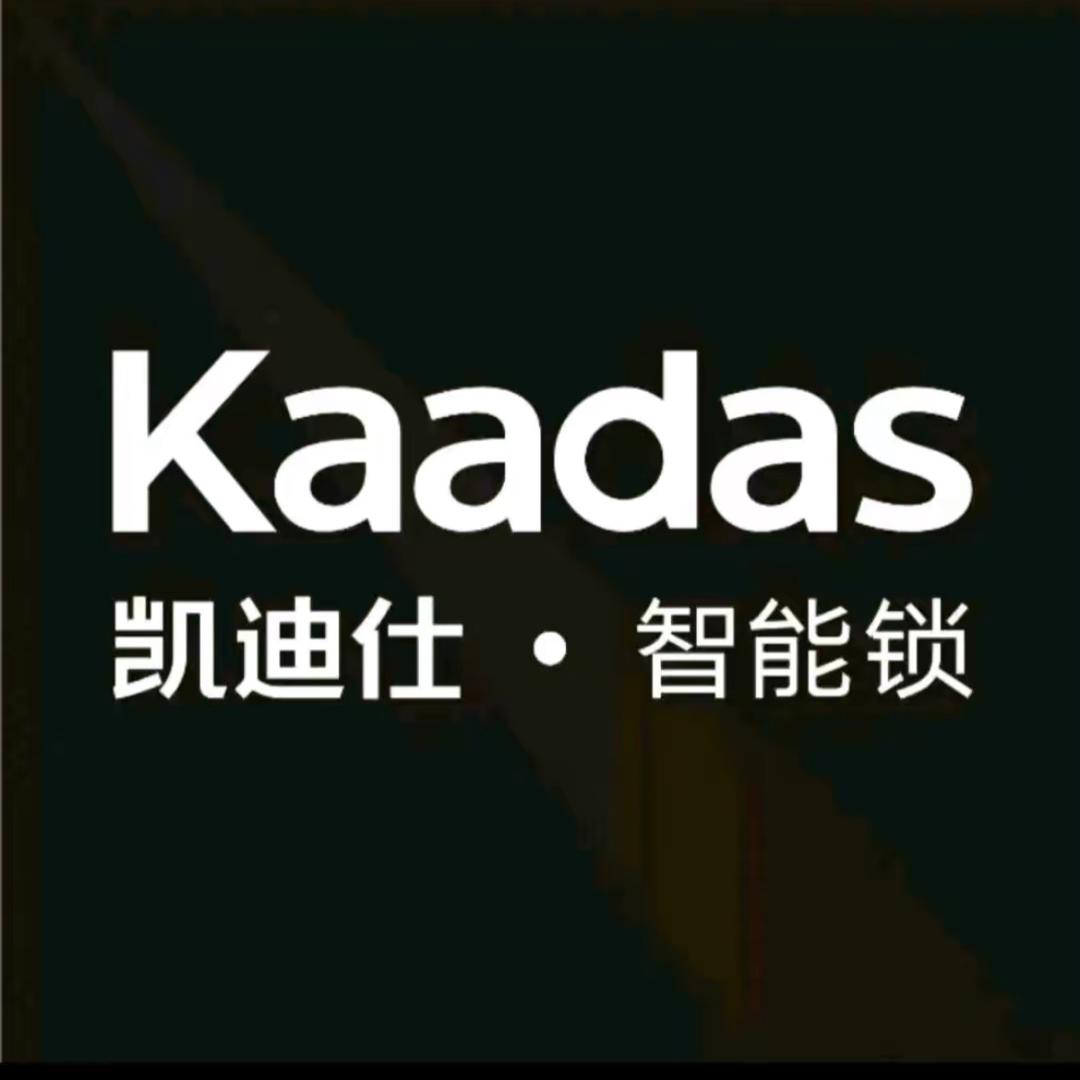 泉州凯迪仕(晋江总店）学哥