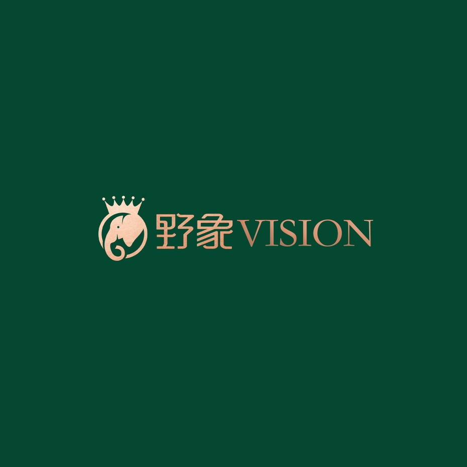 野象Vision