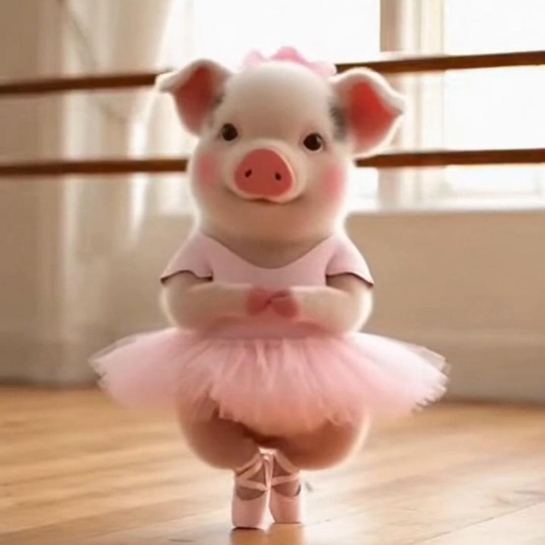 笑喵娃星球😺👶