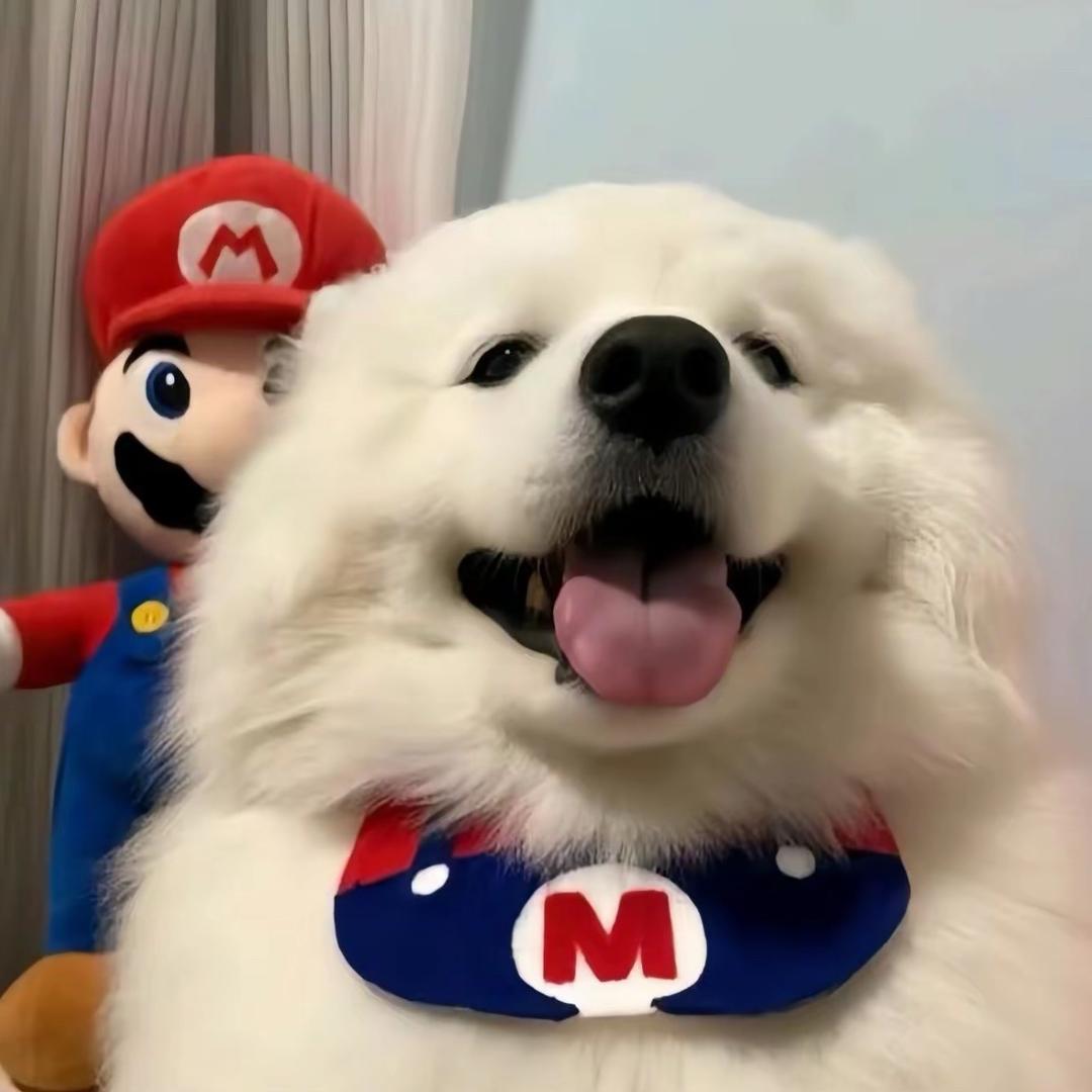 Meieuu