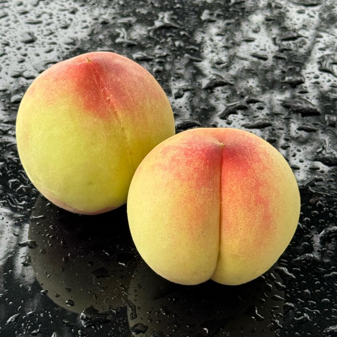 阳山水蜜桃情报