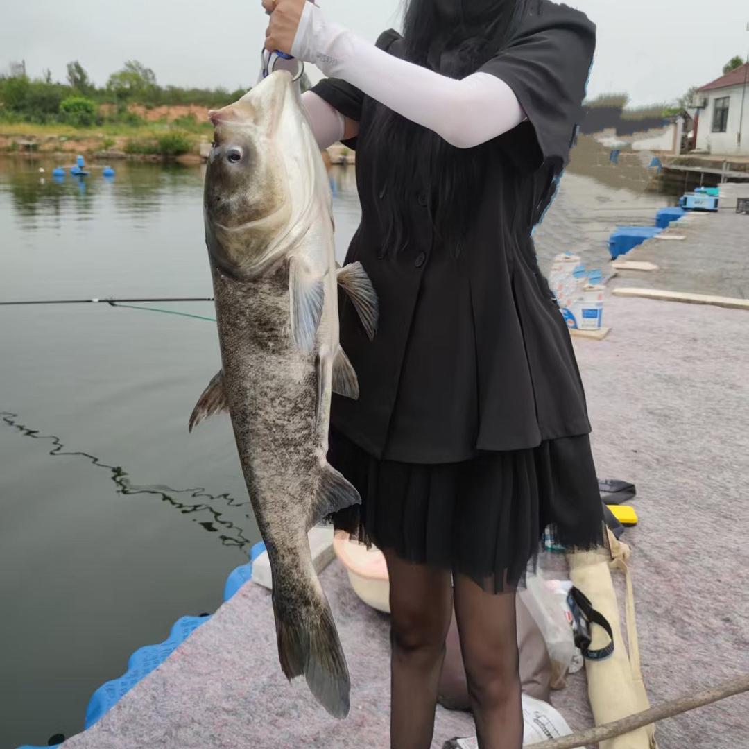 拯救溺水的鱼🎣