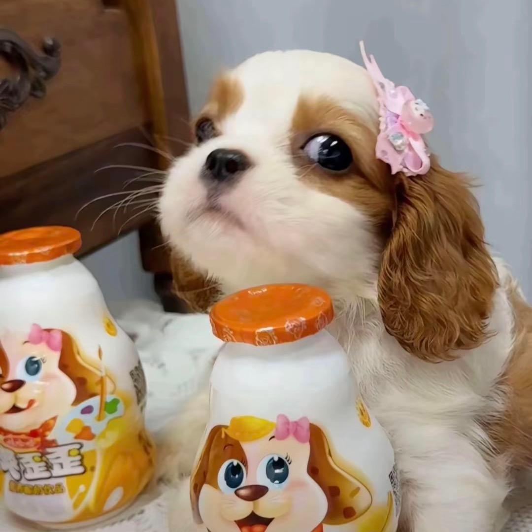 米佳娜