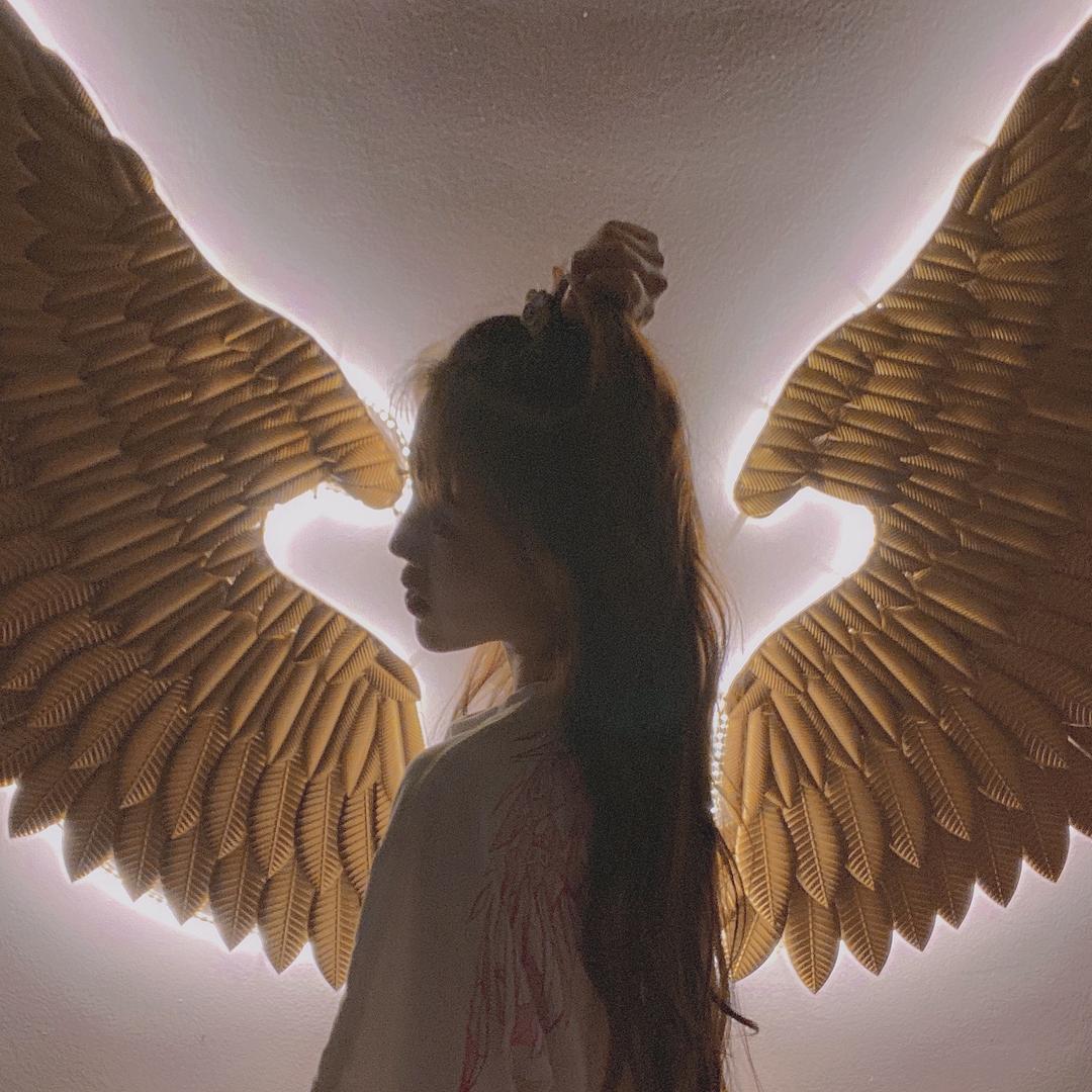 安琪 🧚‍♀️