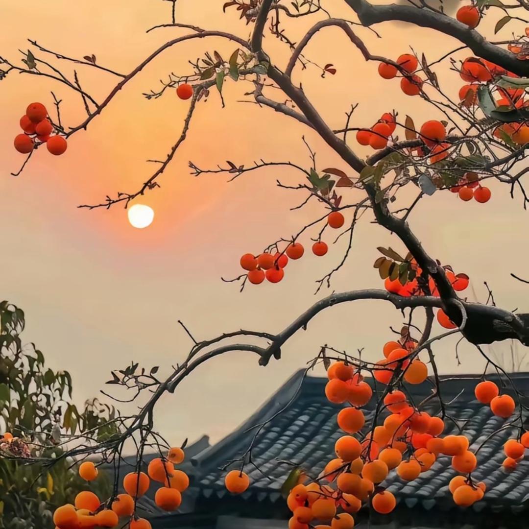 小欣