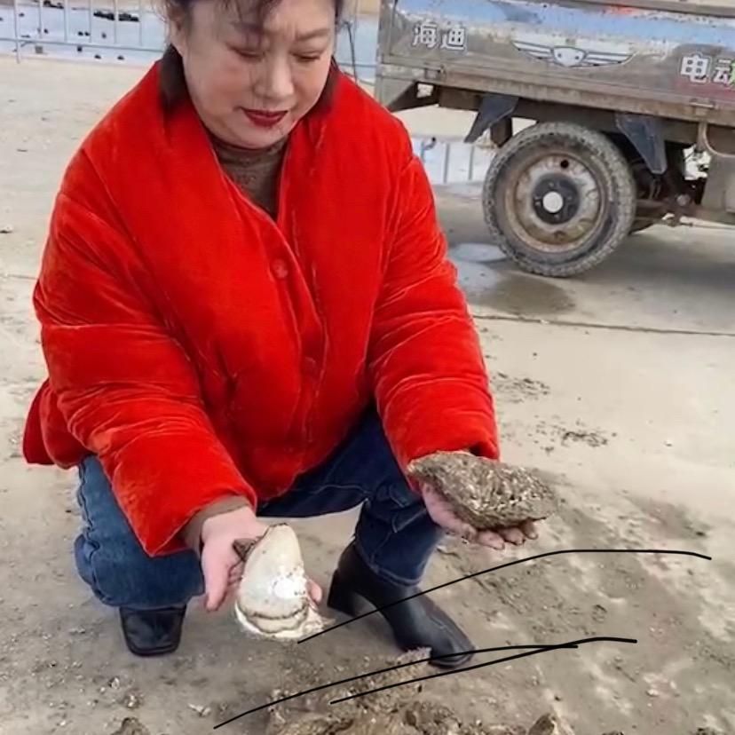 袁总水产品
