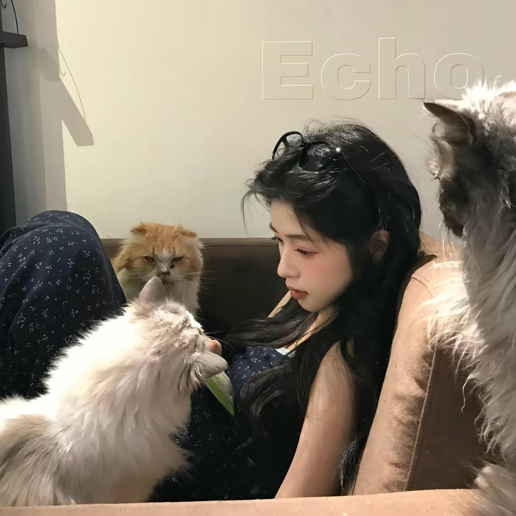 小虾米🫧