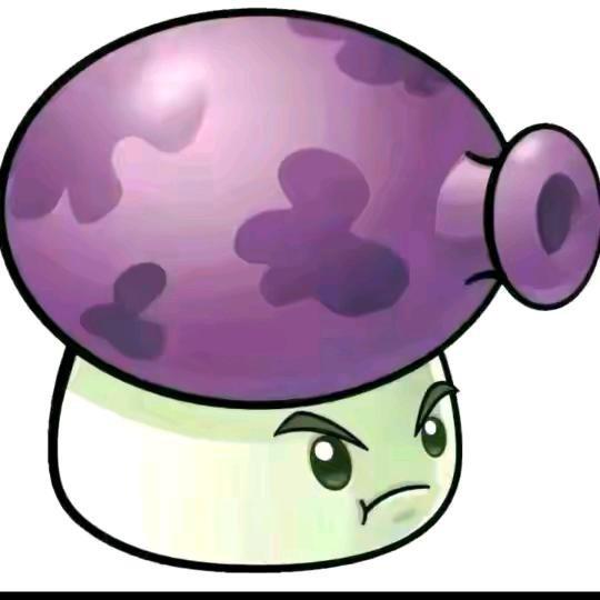 🟣🟣🟣🟣🟣