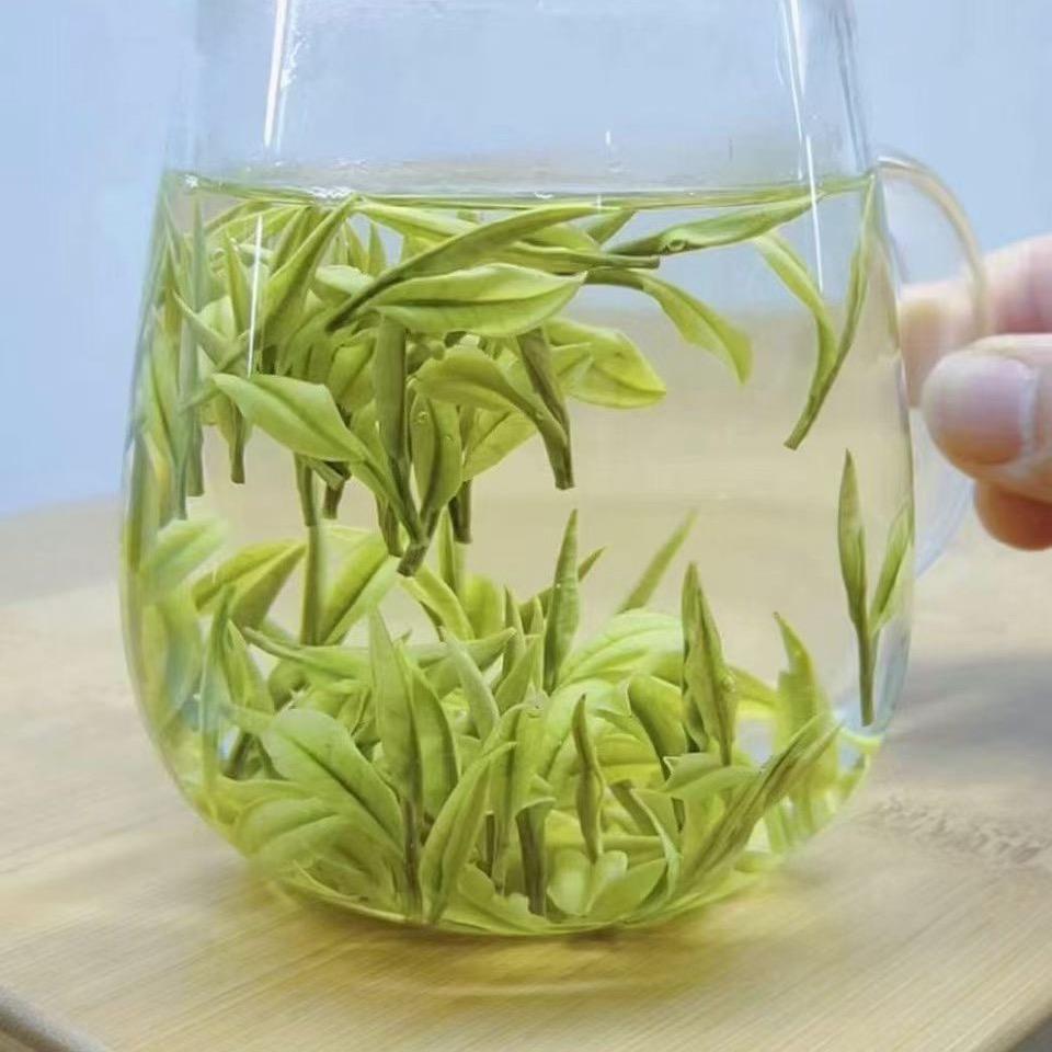 安吉茗诚🍵小伟