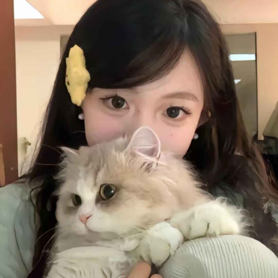 不当笨蛋小猫🐾