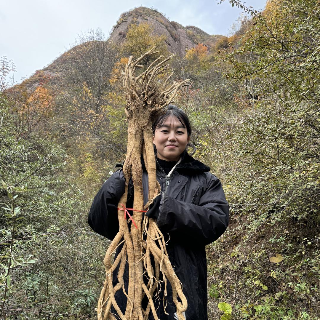 北山农人（山货优品）