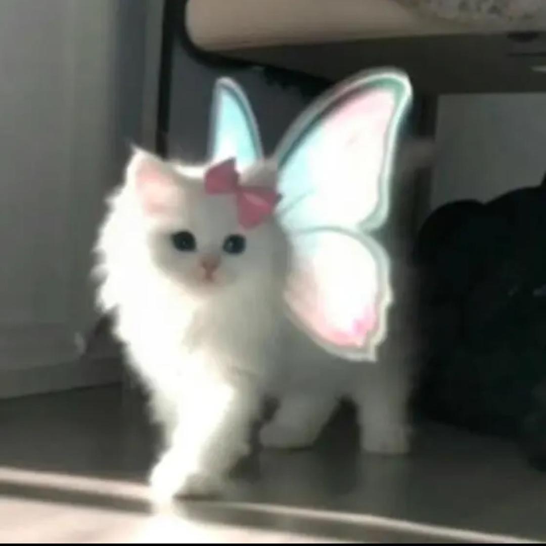 温柔可爱