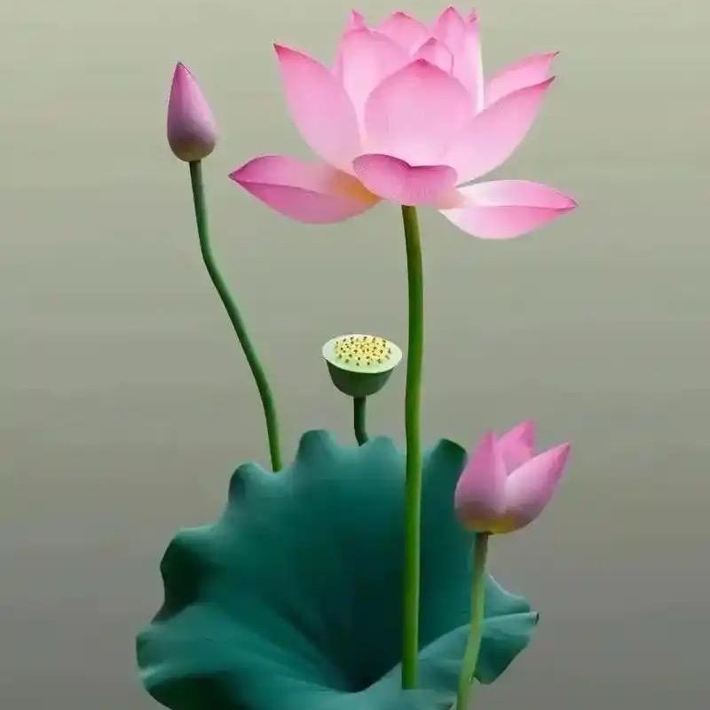 随安静知