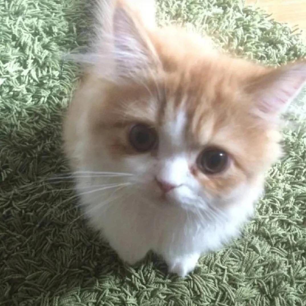 我在上网冲浪中