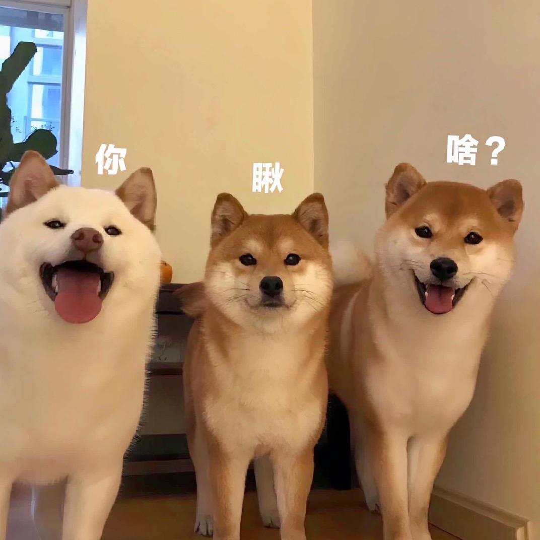 这里壁纸