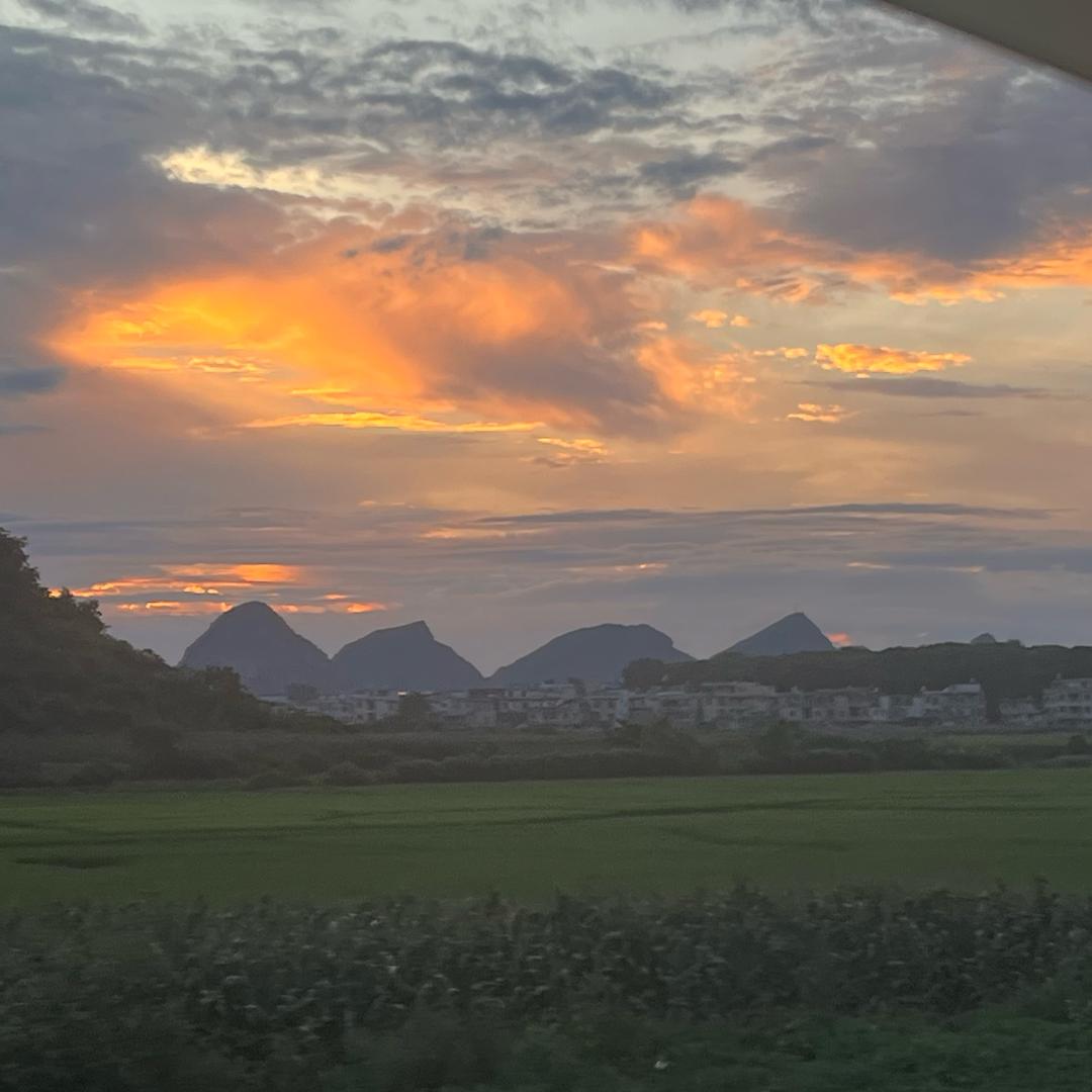 是金玲呀