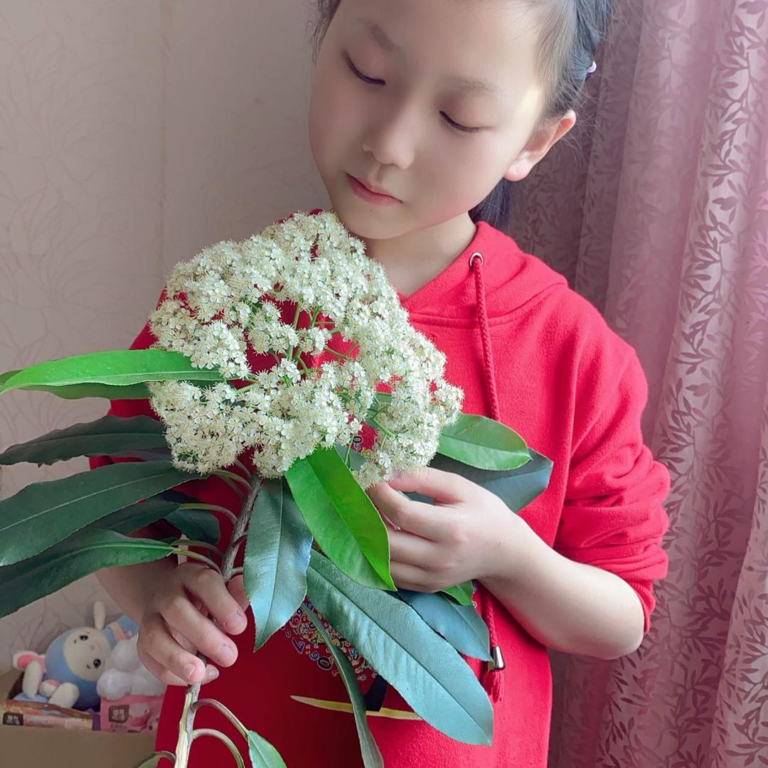 丫头好物推荐