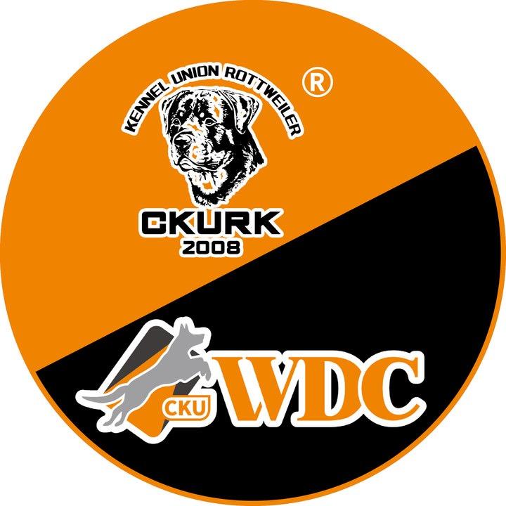 CKUWDC工作犬&CKURK罗威纳犬