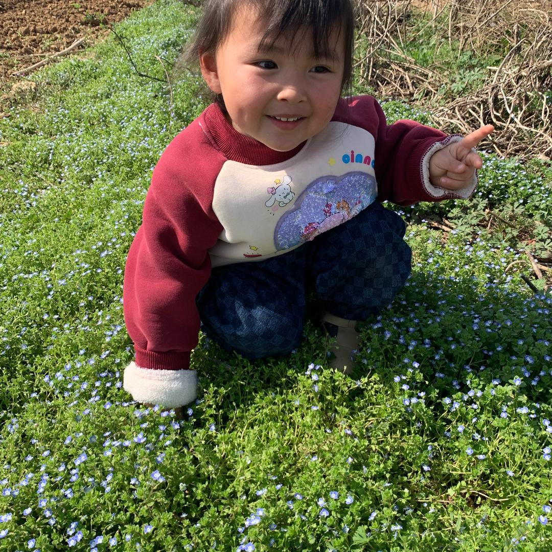 顺其自然