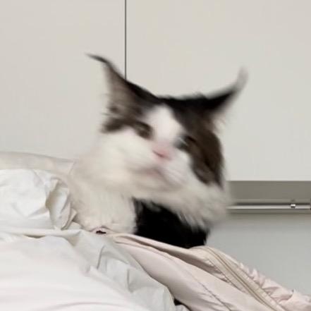 吃薯条吗