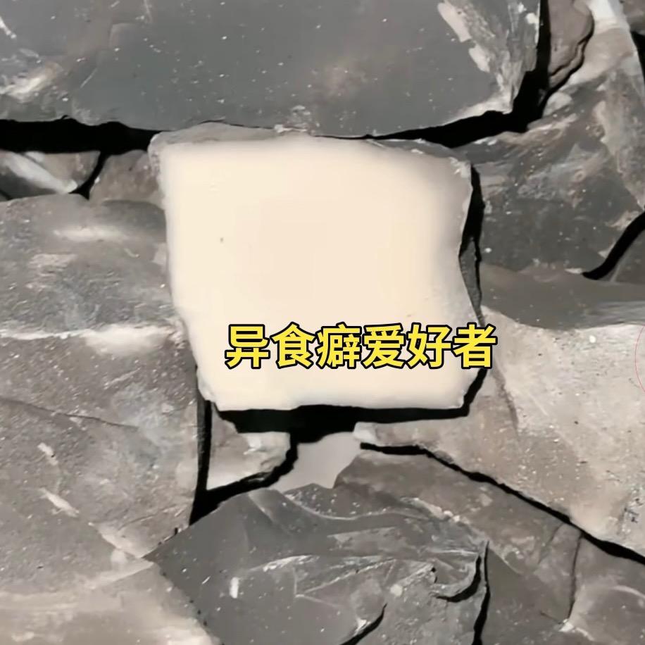毛毛虫🐛
