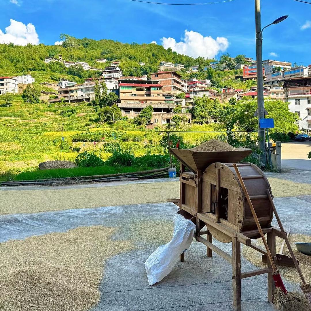 小芳农场