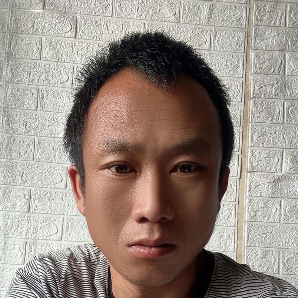 龙龙