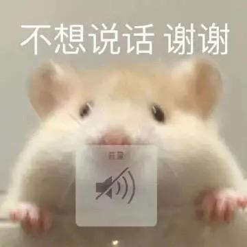 威白白
