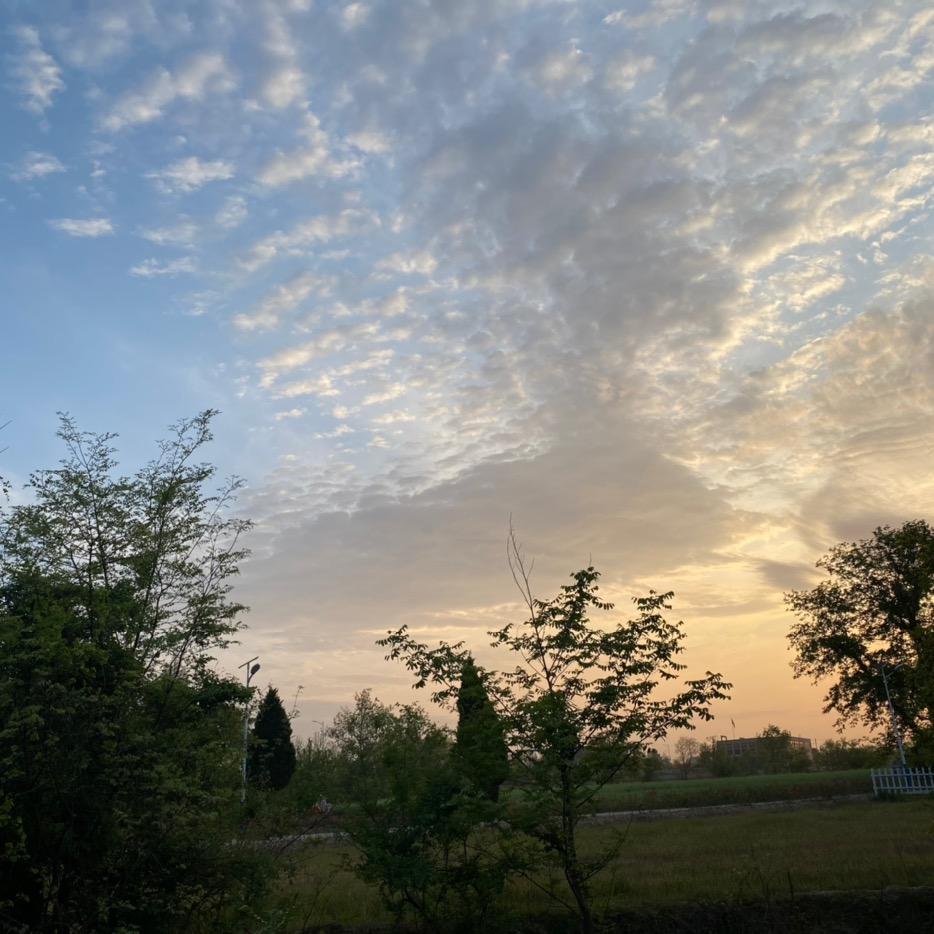 青春加油站⛽️