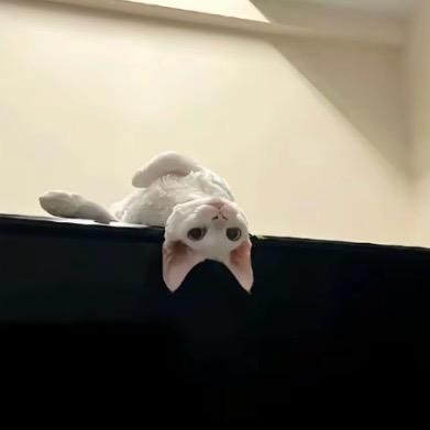远