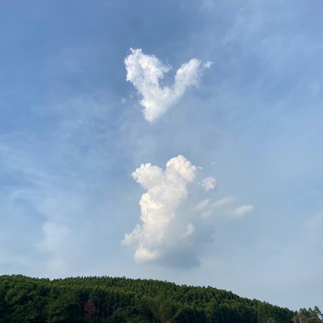 韩跑跑（三角洲行动）