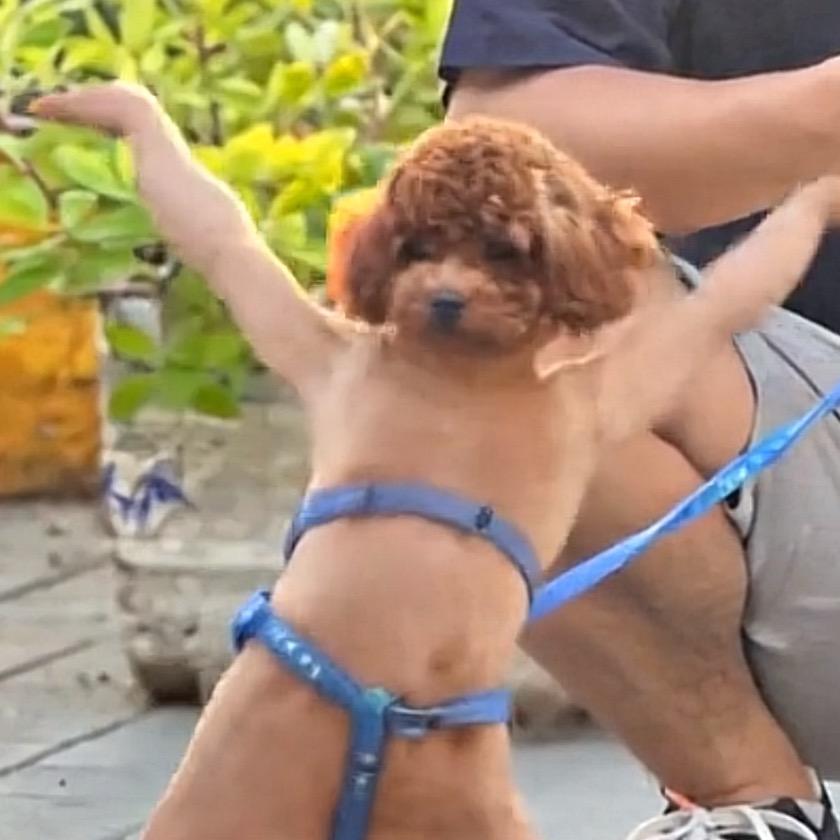 √