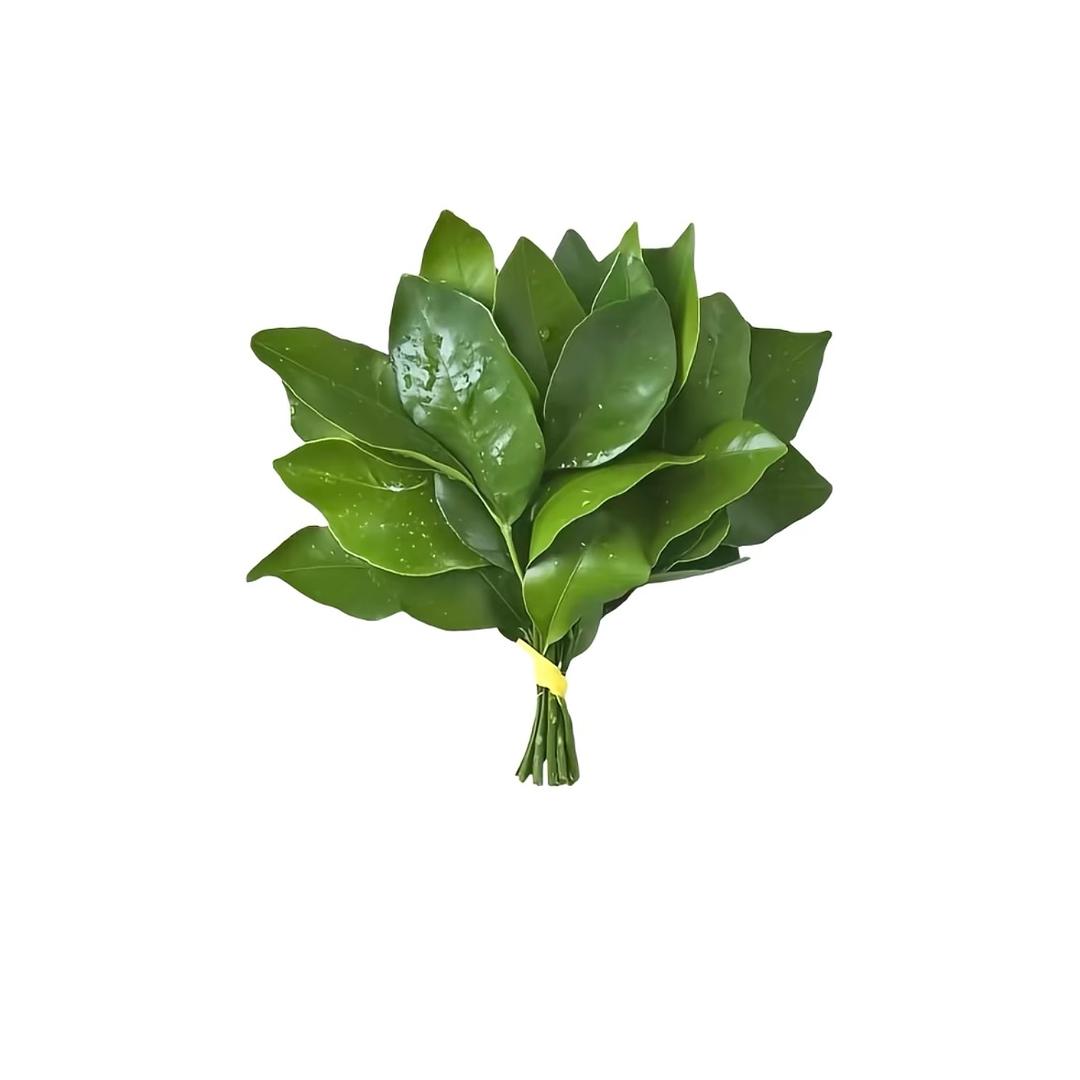 小纯