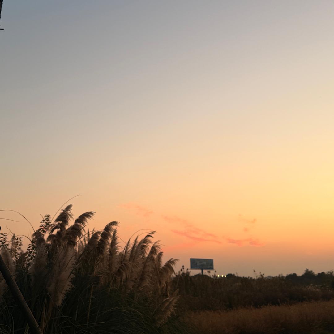 花好月圆。