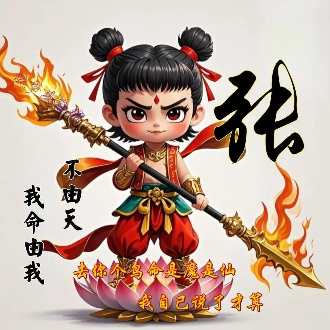 是小张吖🧜‍♀️
