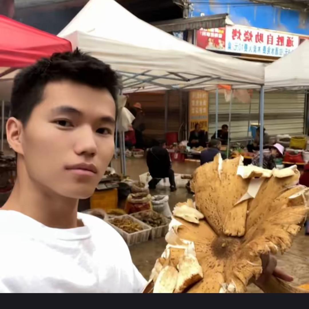 云南维奇