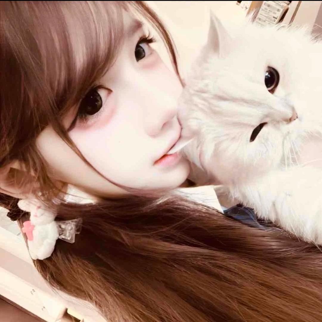 伤感🐑