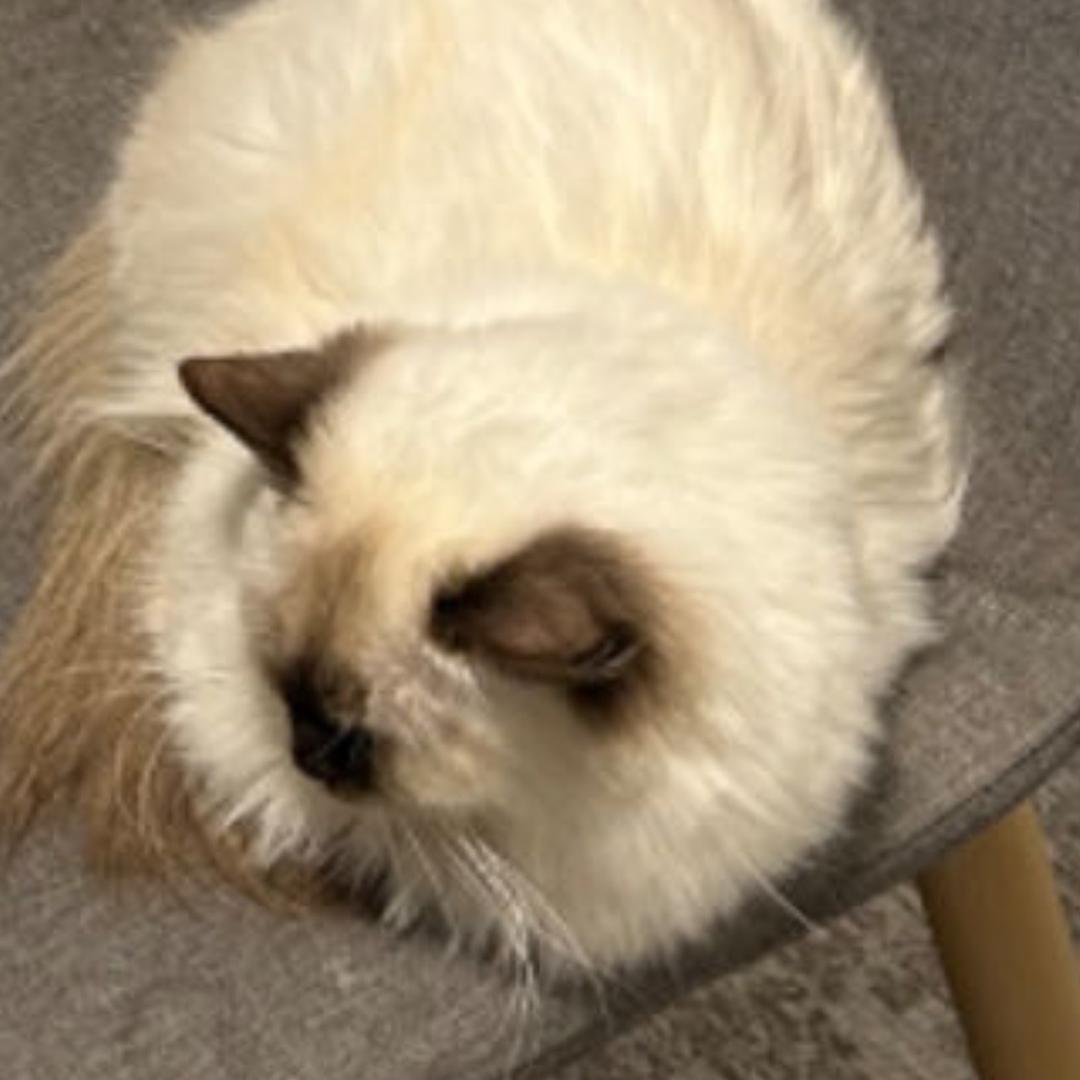 风轻云淡1