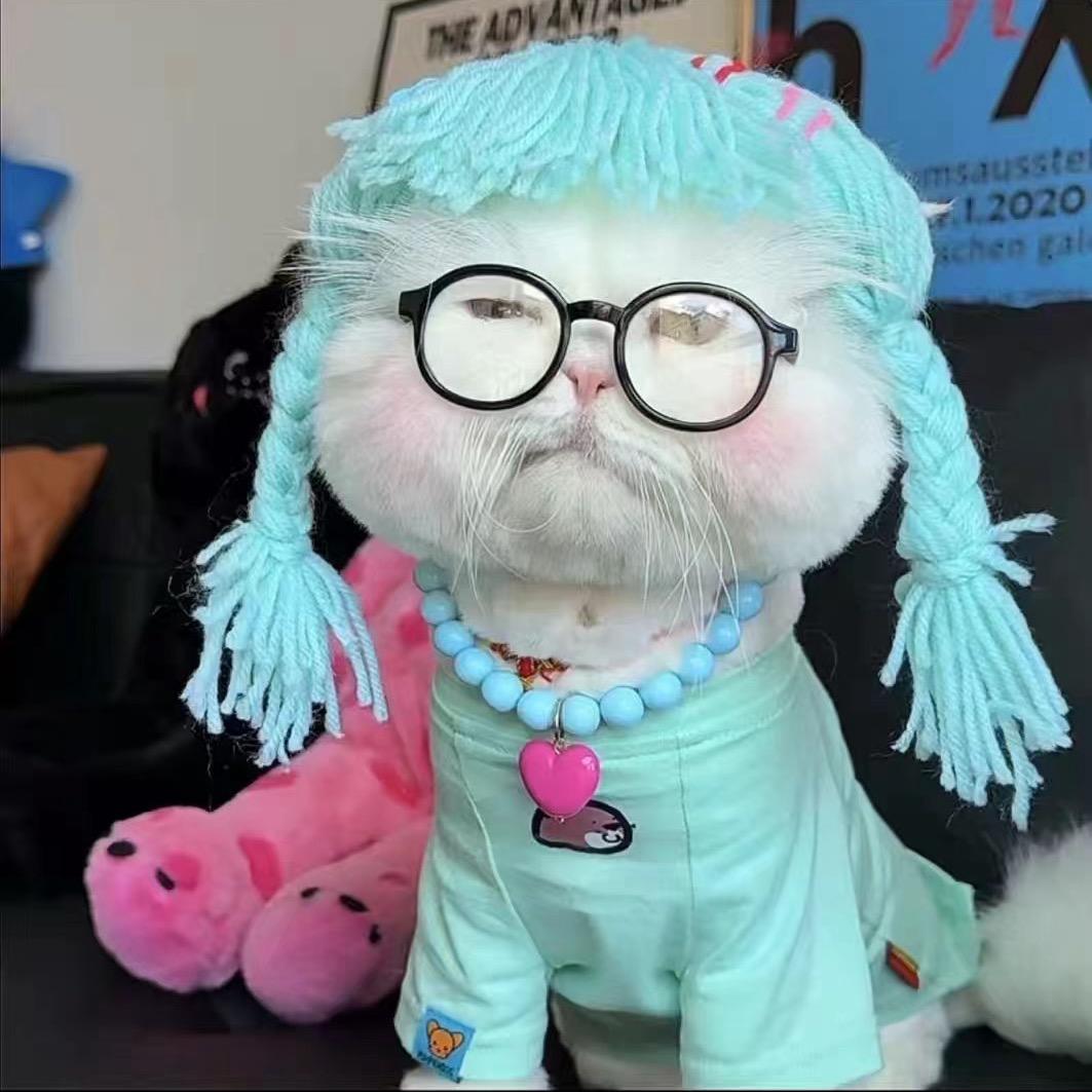 小皮熊