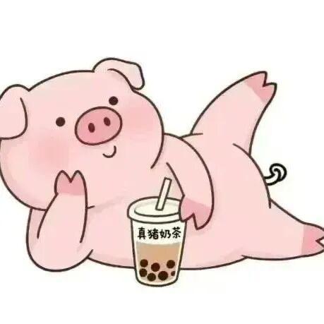噜噜猪.ฅ