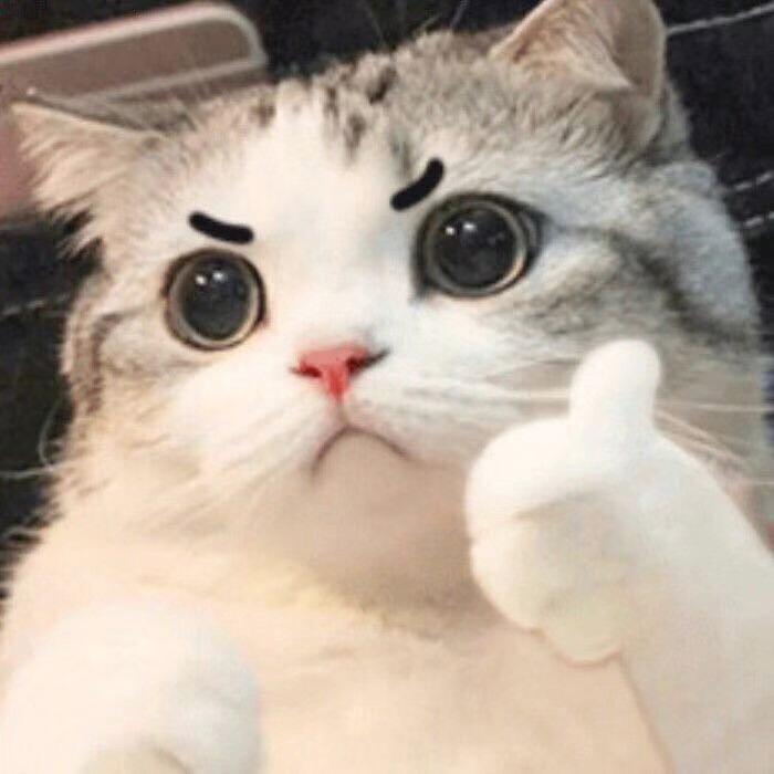 烟花易冷