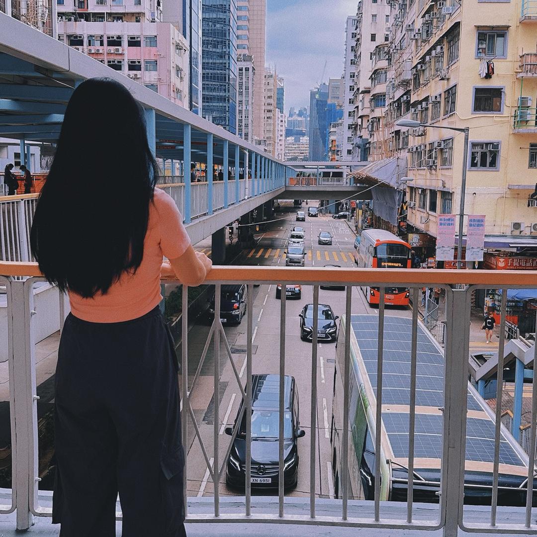 小胖炖