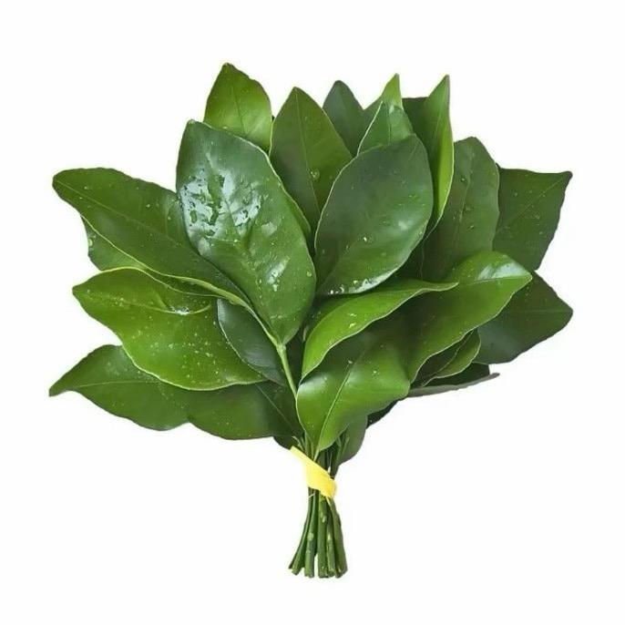Kuku