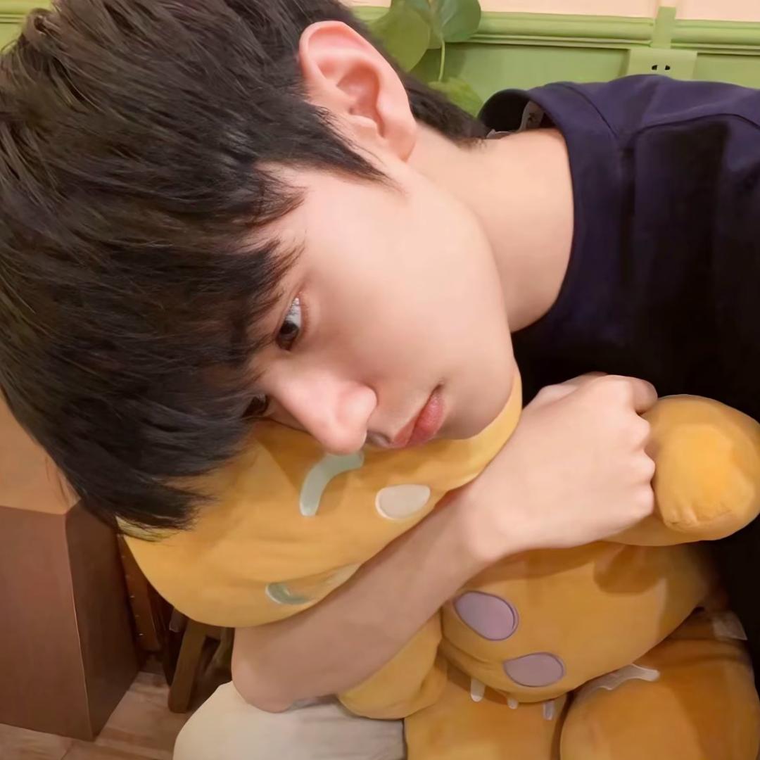 ︋︋︋ㅤ     ㅤ