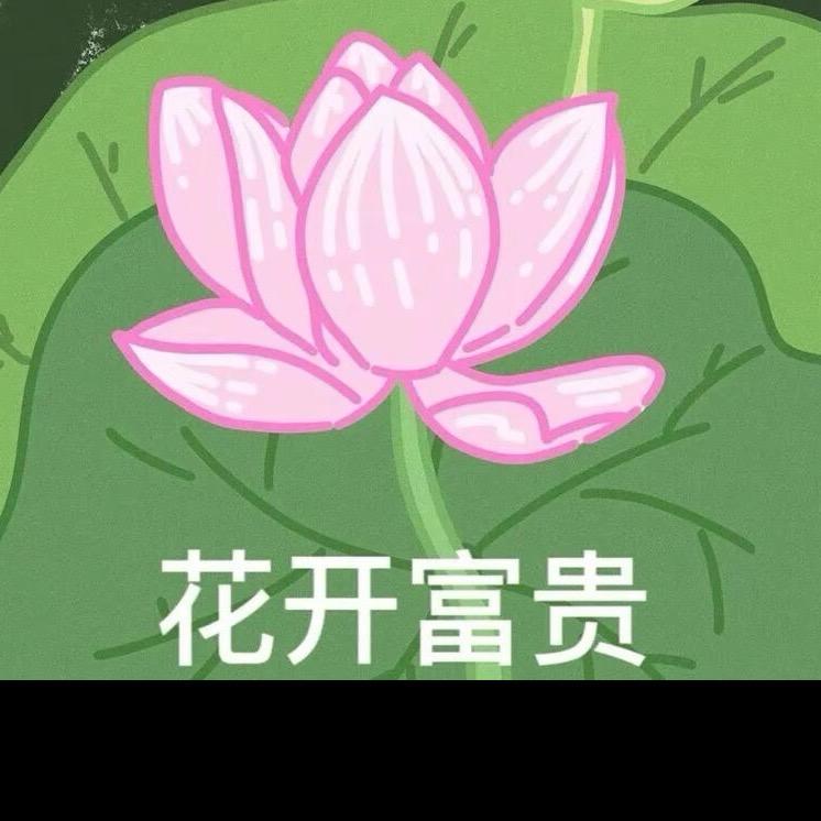 花开富贵.