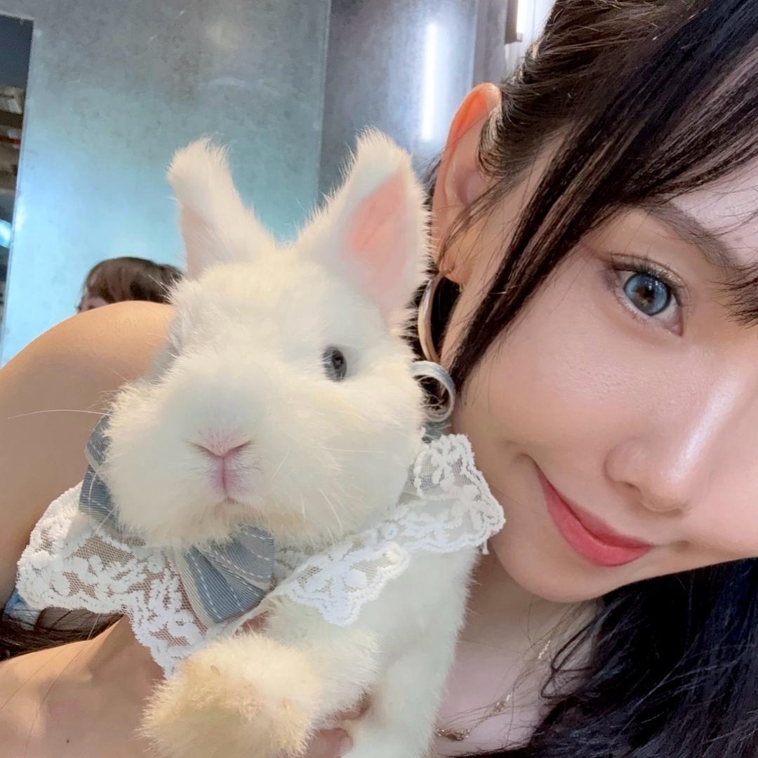 ³√🐰
