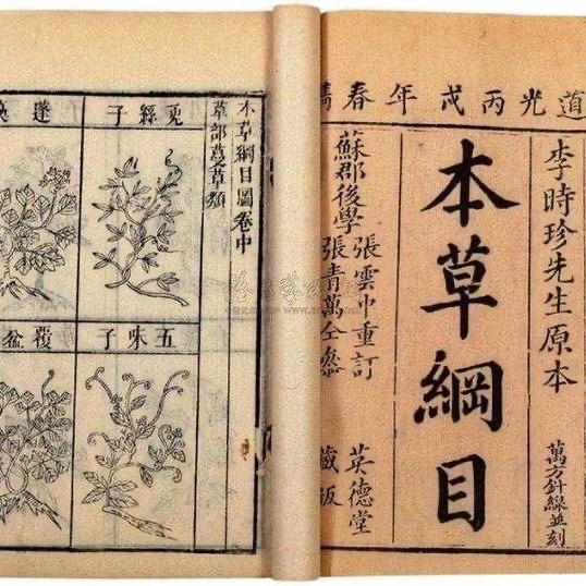 吴司令